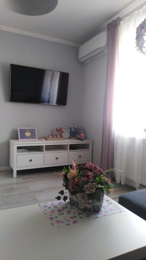 Apartament Antek Klimatyzowany オシフィエンチム エクステリア 写真