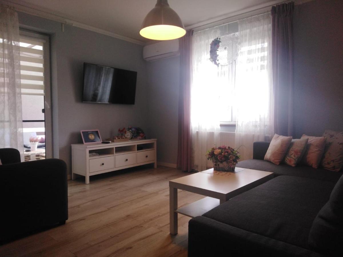 Apartament Antek Klimatyzowany オシフィエンチム エクステリア 写真