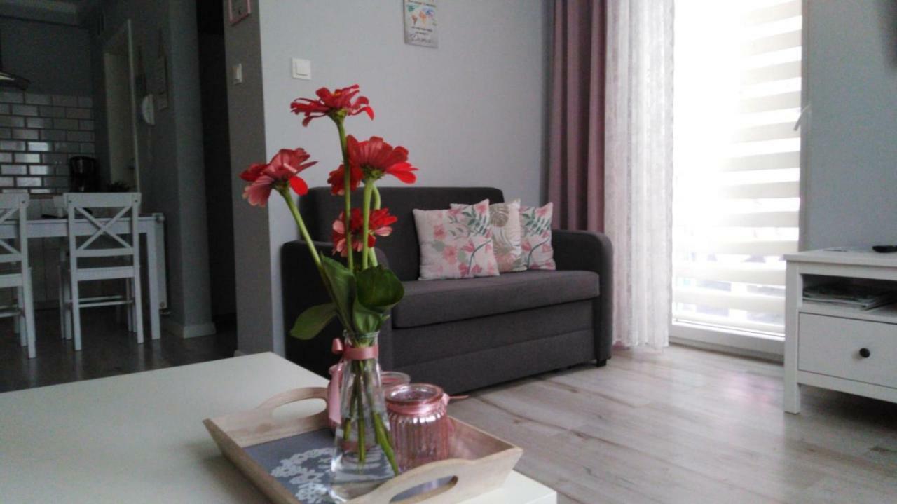 Apartament Antek Klimatyzowany オシフィエンチム エクステリア 写真