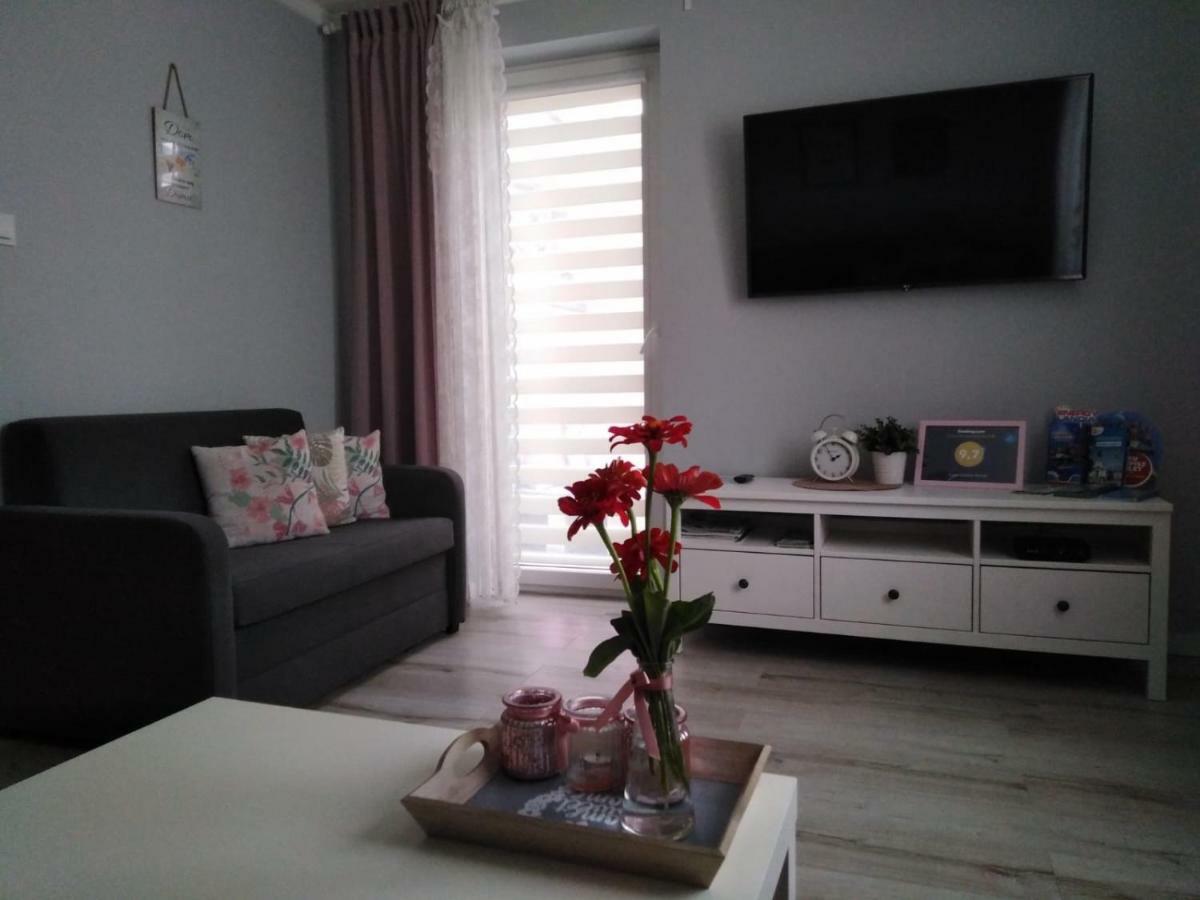Apartament Antek Klimatyzowany オシフィエンチム エクステリア 写真